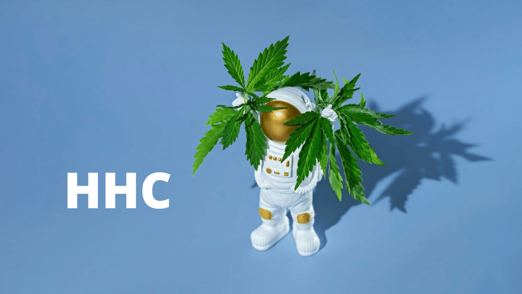 Delta 8 THC: Fueling Inspiration and Artistic Expression
