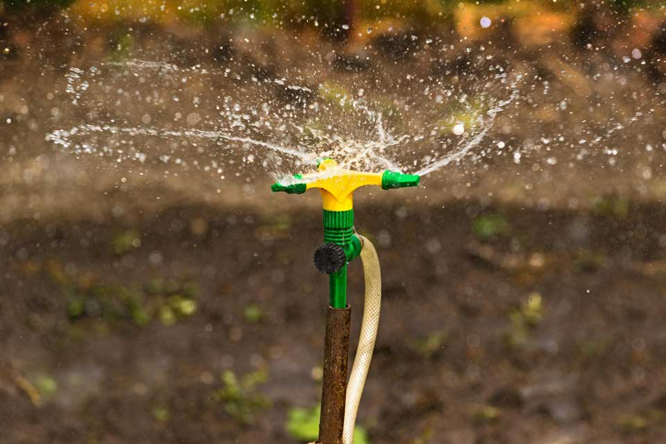 Sprout Success Unmatched Sprinkler Head Repair Expertise