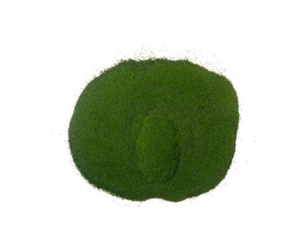 Green Malay Kratom: Insights into Its Popularity and Effects