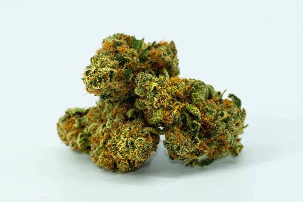Experience the Benefits of strongest thca flower with Premium Quality