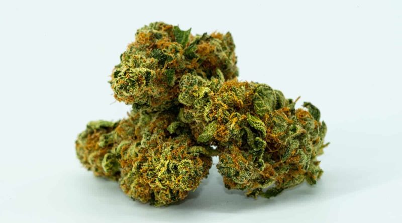Experience the Benefits of strongest thca flower with Premium Quality